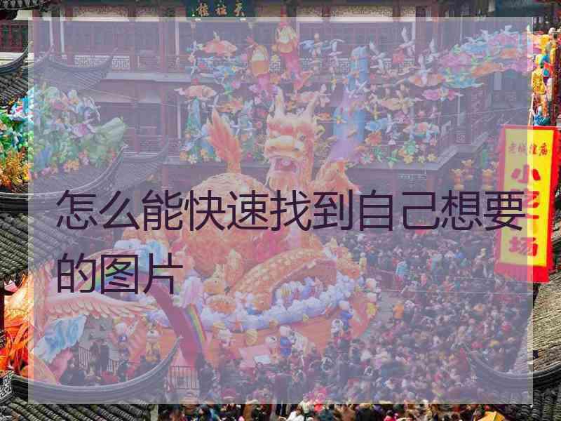 怎么能快速找到自己想要的图片