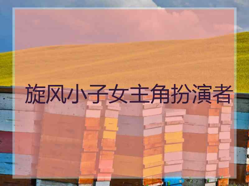 旋风小子女主角扮演者