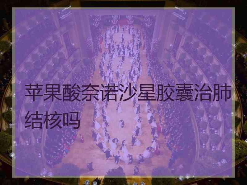 苹果酸奈诺沙星胶囊治肺结核吗