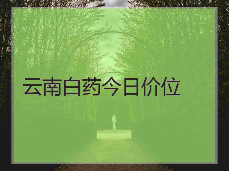 云南白药今日价位