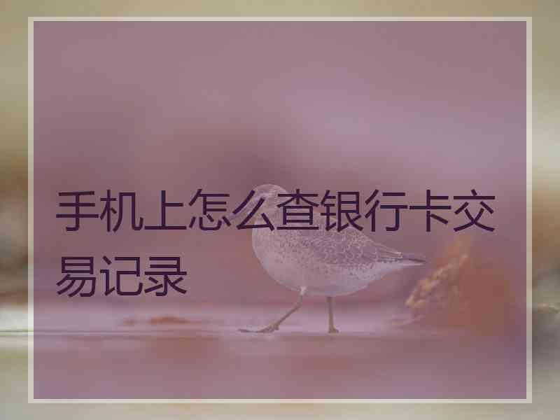 手机上怎么查银行卡交易记录