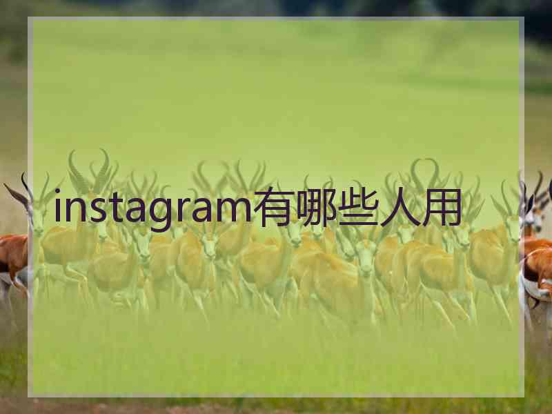 instagram有哪些人用