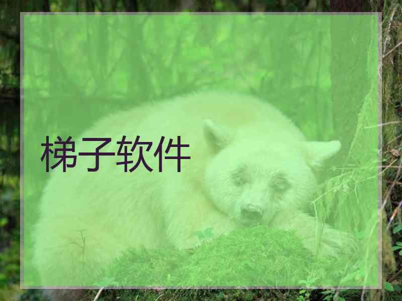 梯子软件
