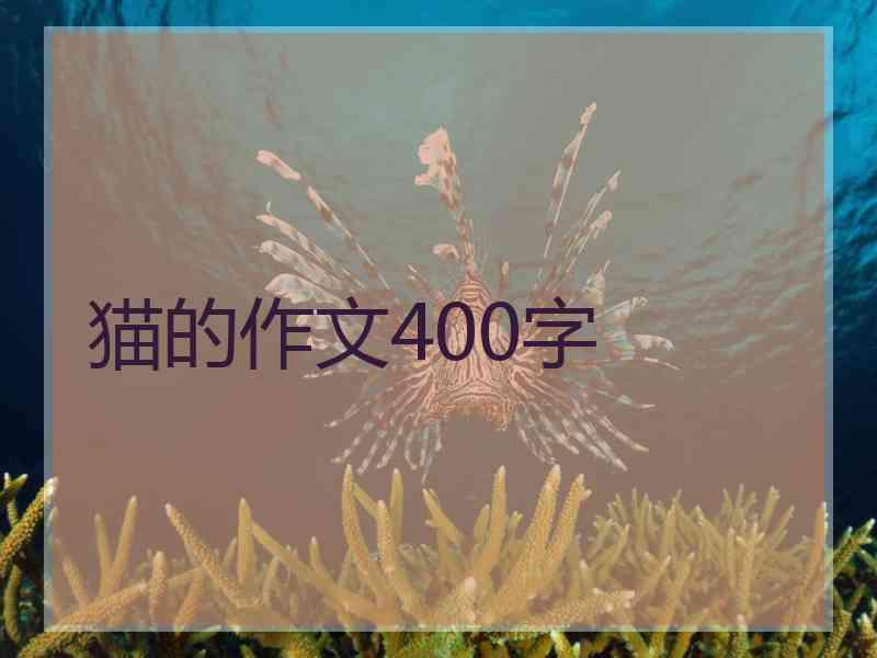 猫的作文400字