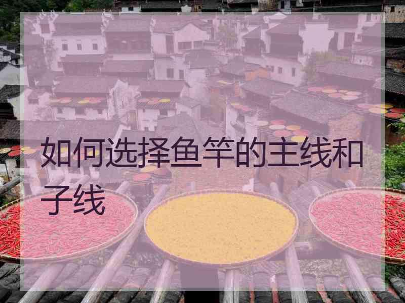 如何选择鱼竿的主线和子线