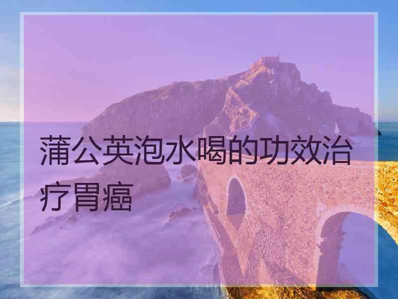 蒲公英泡水喝的功效治疗胃癌
