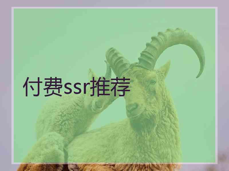 付费ssr推荐