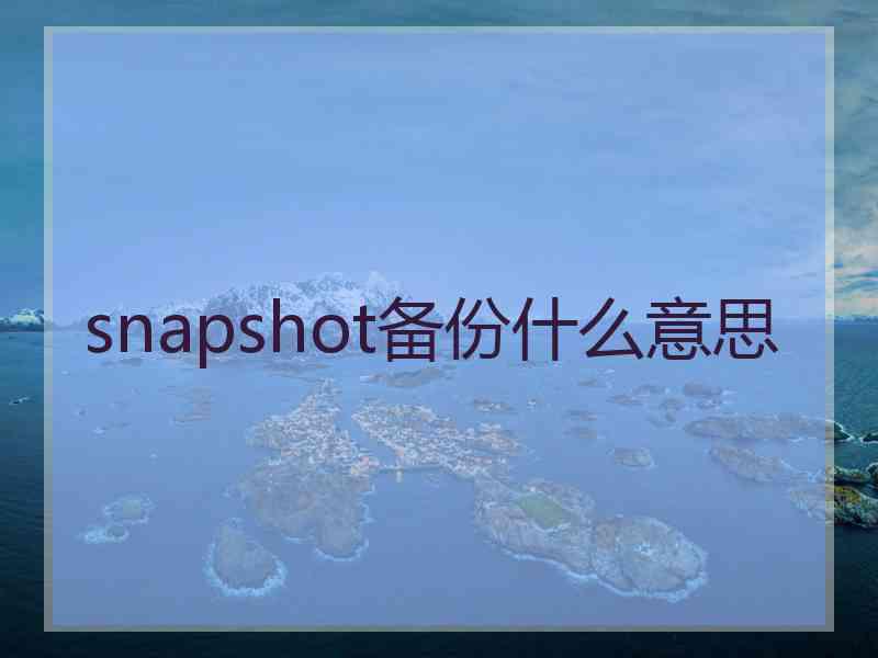 snapshot备份什么意思