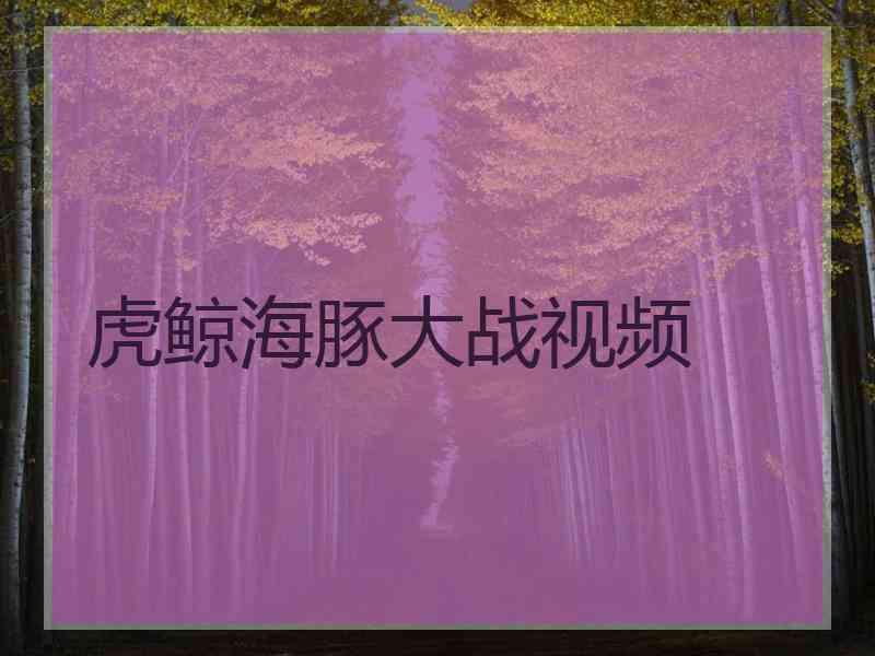 虎鲸海豚大战视频