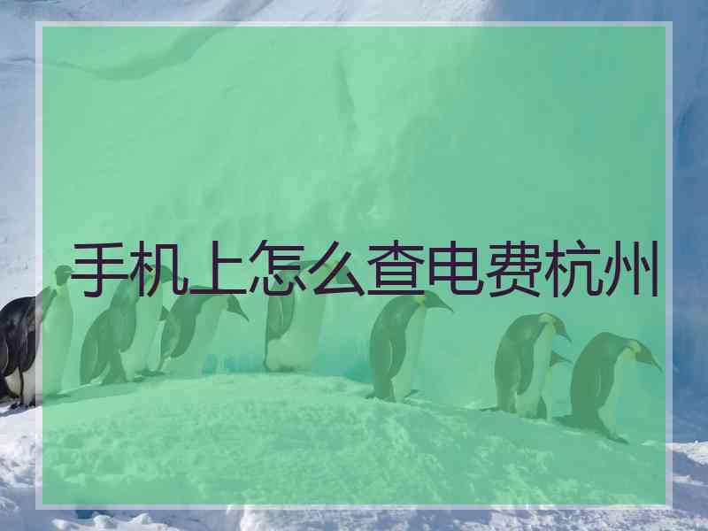 手机上怎么查电费杭州
