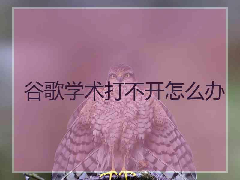 谷歌学术打不开怎么办