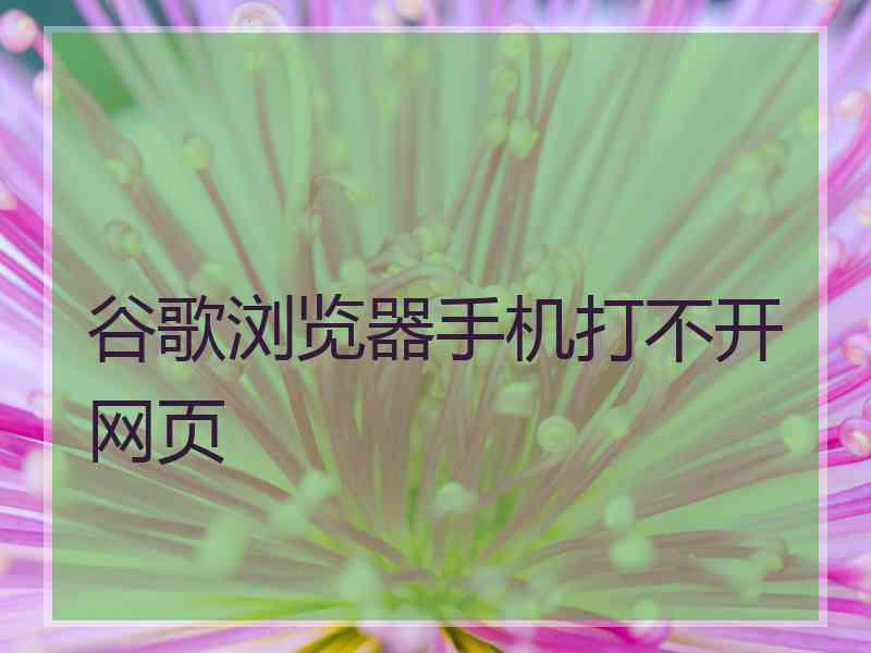 谷歌浏览器手机打不开网页
