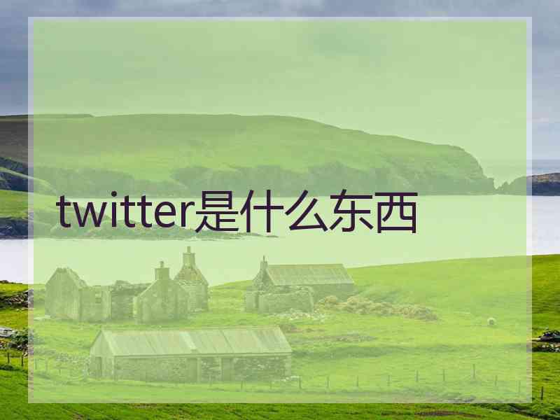 twitter是什么东西