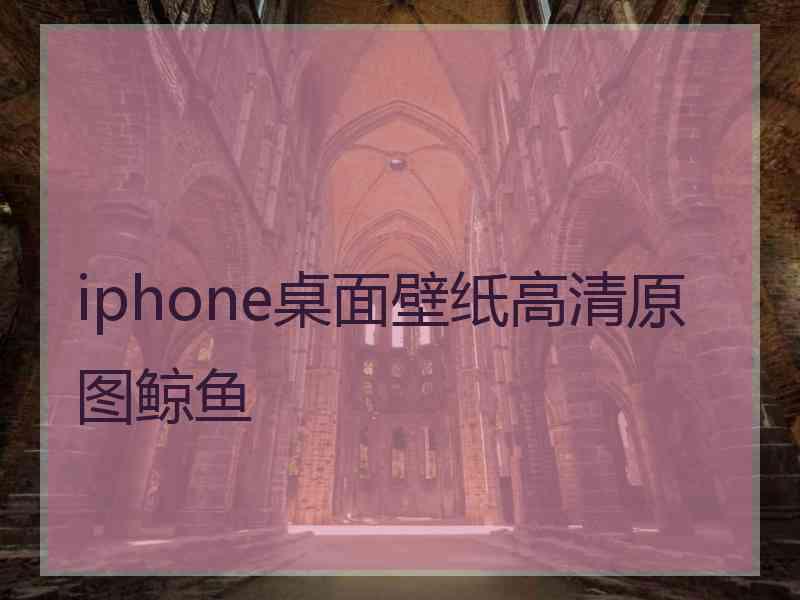 iphone桌面壁纸高清原图鲸鱼
