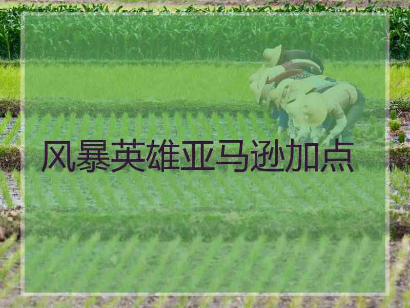 风暴英雄亚马逊加点