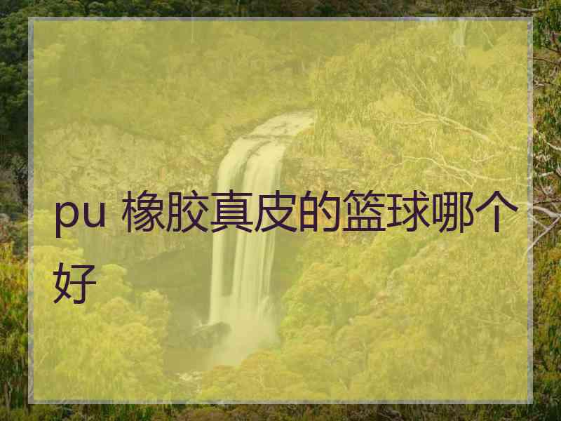 pu 橡胶真皮的篮球哪个好