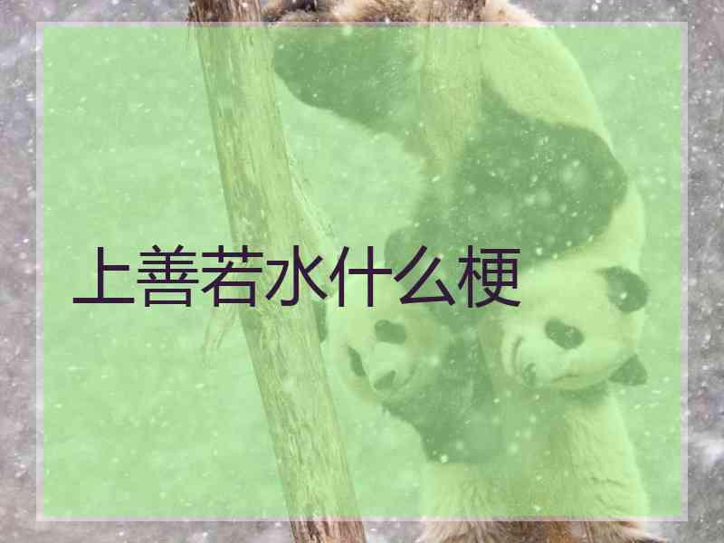 上善若水什么梗