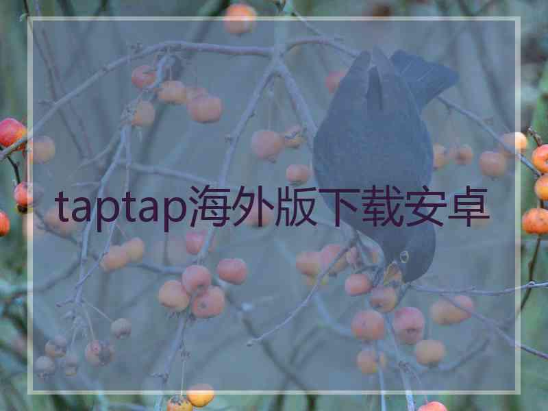 taptap海外版下载安卓
