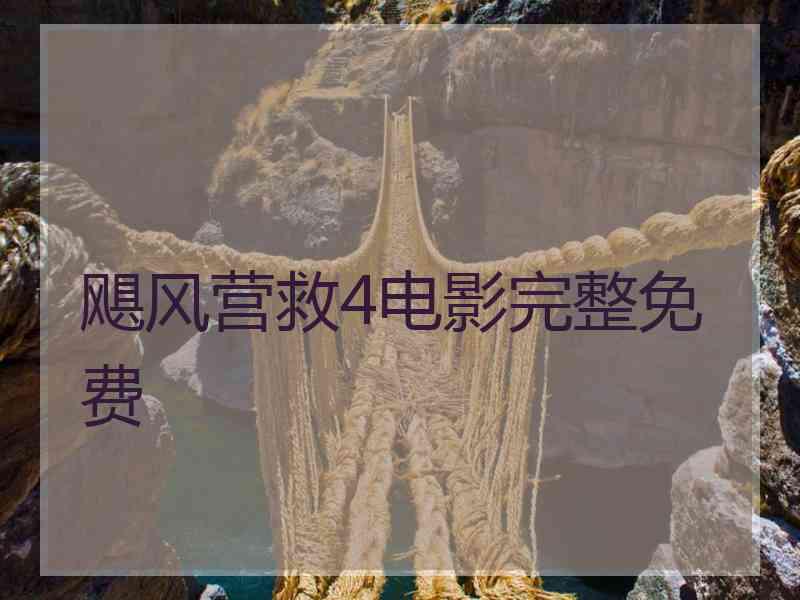 飓风营救4电影完整免费