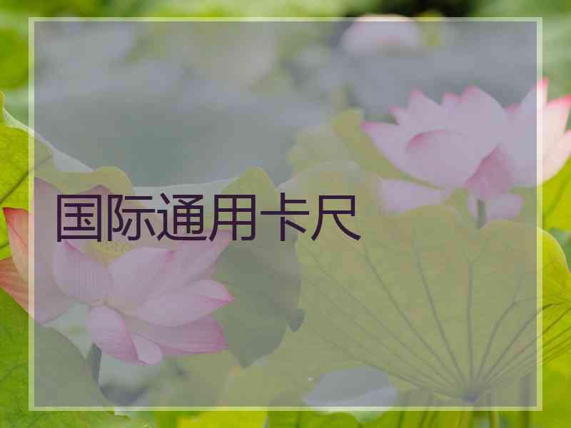 国际通用卡尺