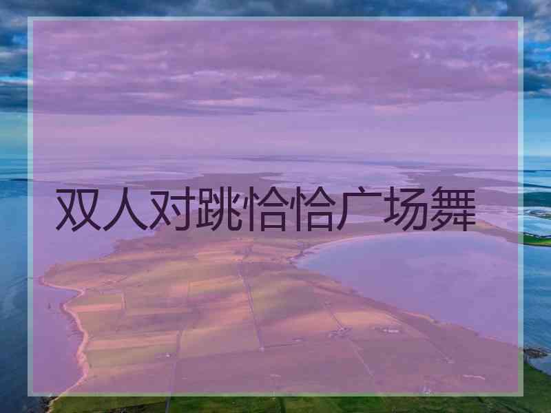 双人对跳恰恰广场舞