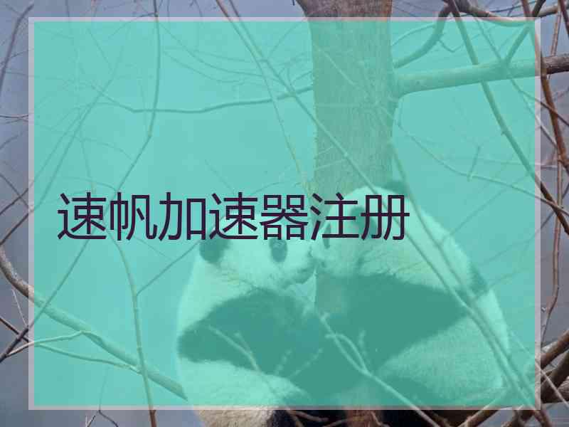 速帆加速器注册