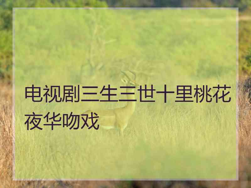 电视剧三生三世十里桃花夜华吻戏