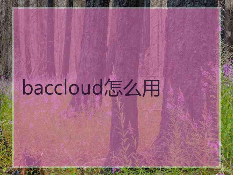 baccloud怎么用