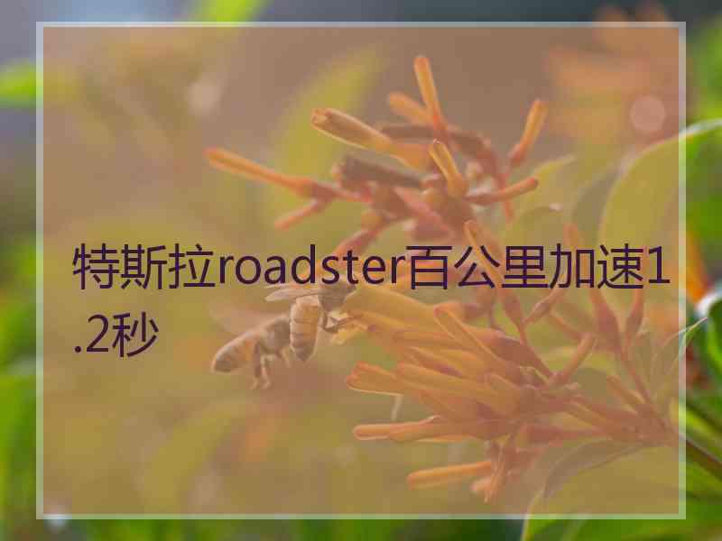 特斯拉roadster百公里加速1.2秒