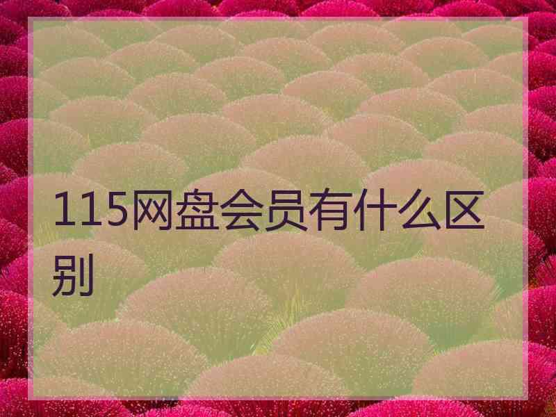 115网盘会员有什么区别