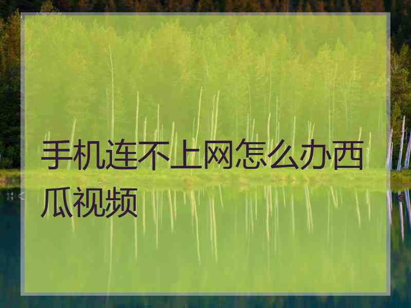 手机连不上网怎么办西瓜视频