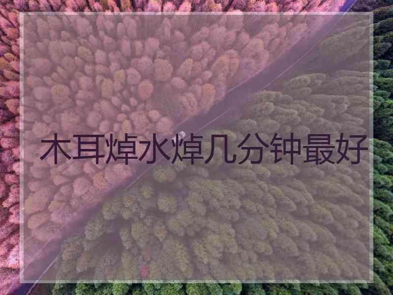 木耳焯水焯几分钟最好