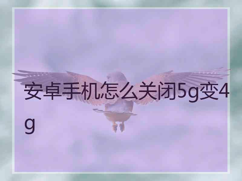 安卓手机怎么关闭5g变4g