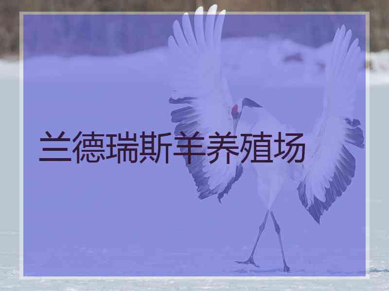 兰德瑞斯羊养殖场