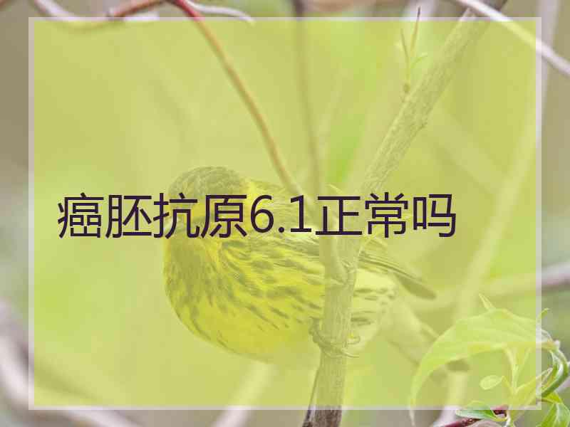 癌胚抗原6.1正常吗