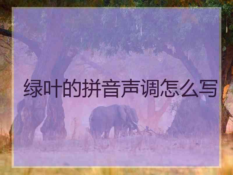 绿叶的拼音声调怎么写