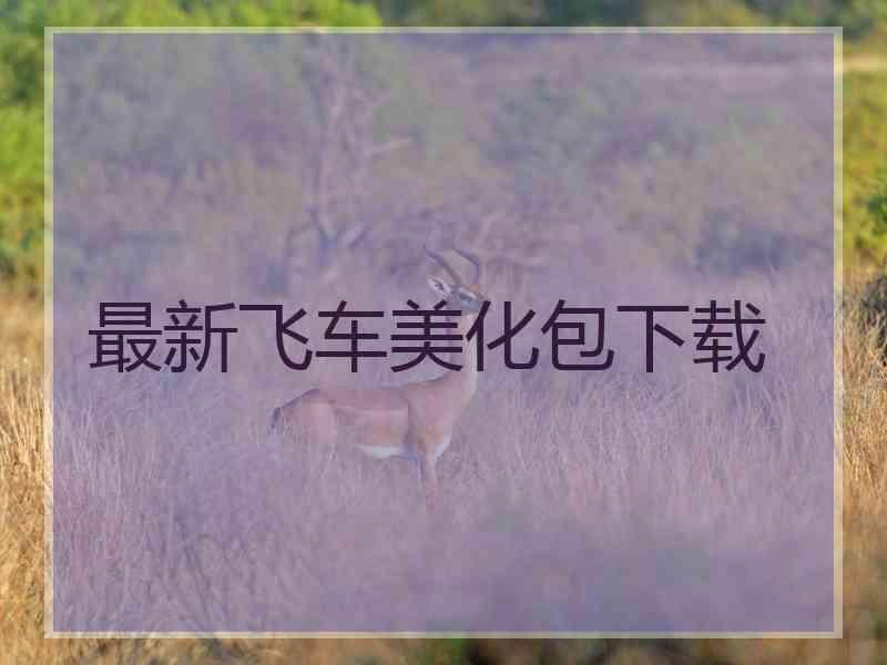 最新飞车美化包下载