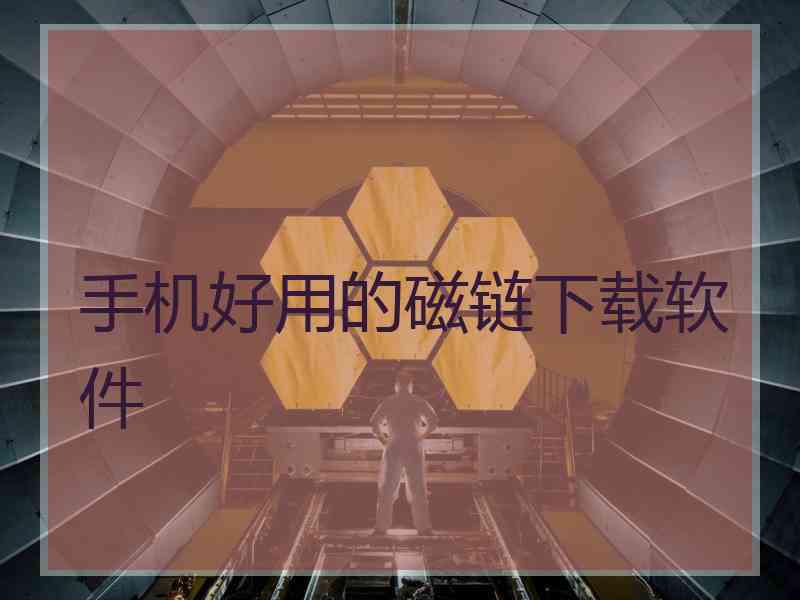 手机好用的磁链下载软件