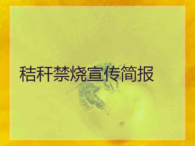 秸秆禁烧宣传简报