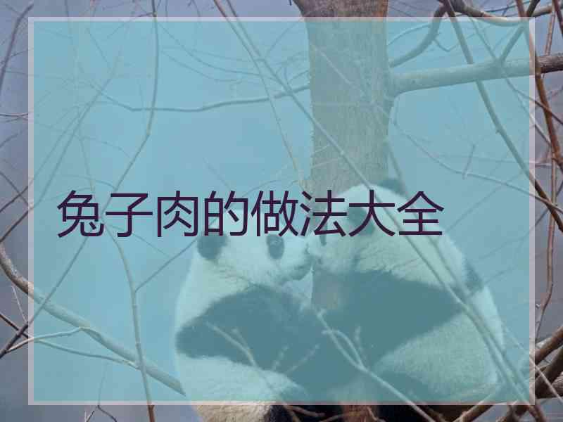 兔子肉的做法大全