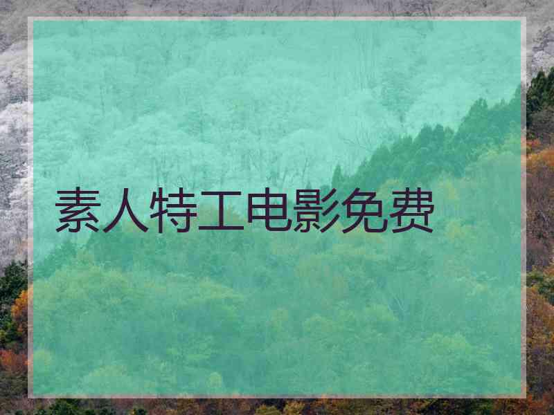 素人特工电影免费