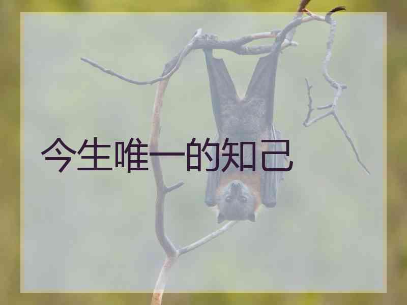 今生唯一的知己