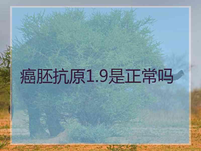 癌胚抗原1.9是正常吗