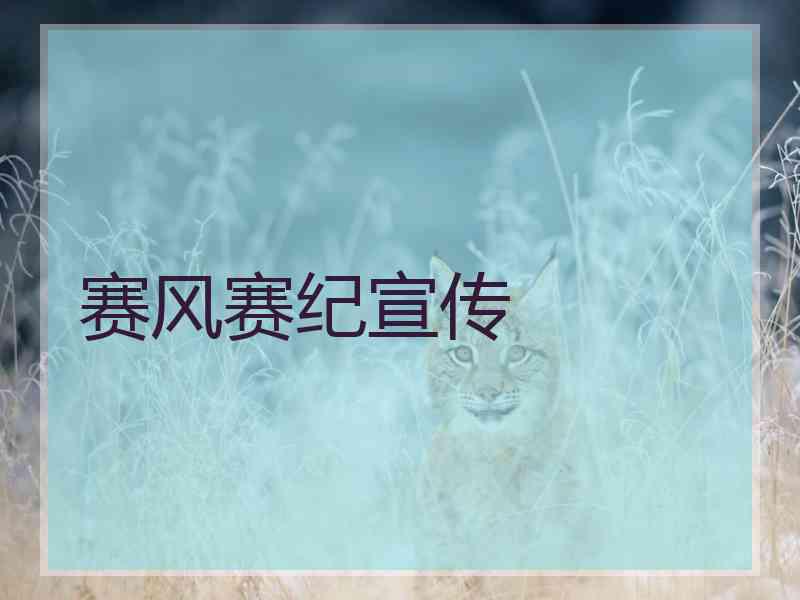 赛风赛纪宣传