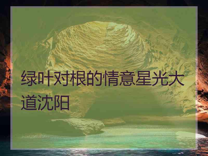 绿叶对根的情意星光大道沈阳