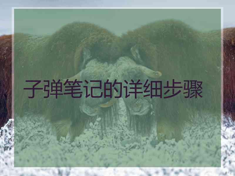 子弹笔记的详细步骤