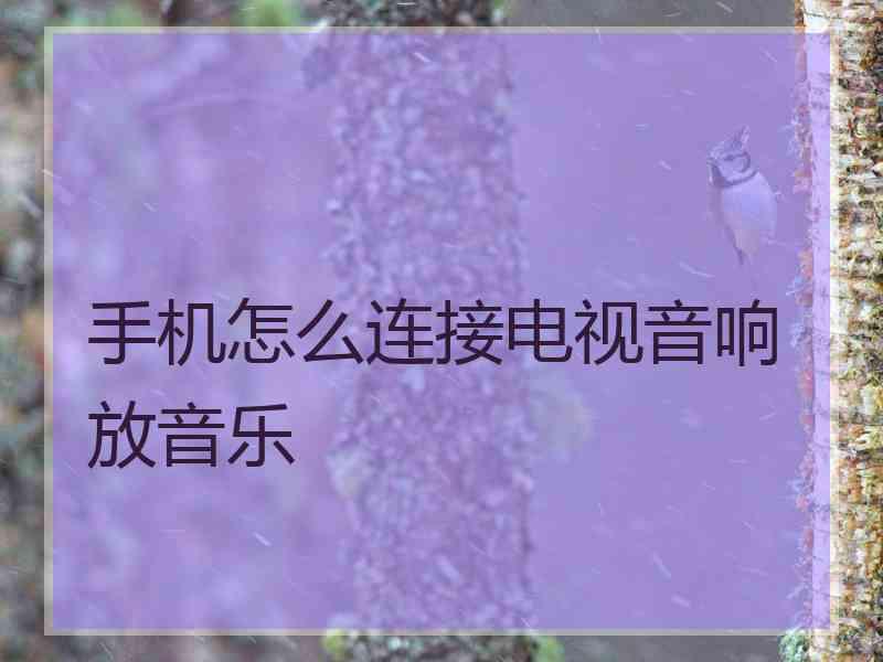 手机怎么连接电视音响放音乐
