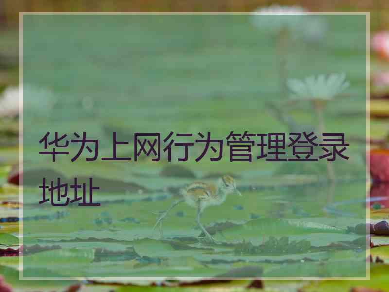 华为上网行为管理登录地址