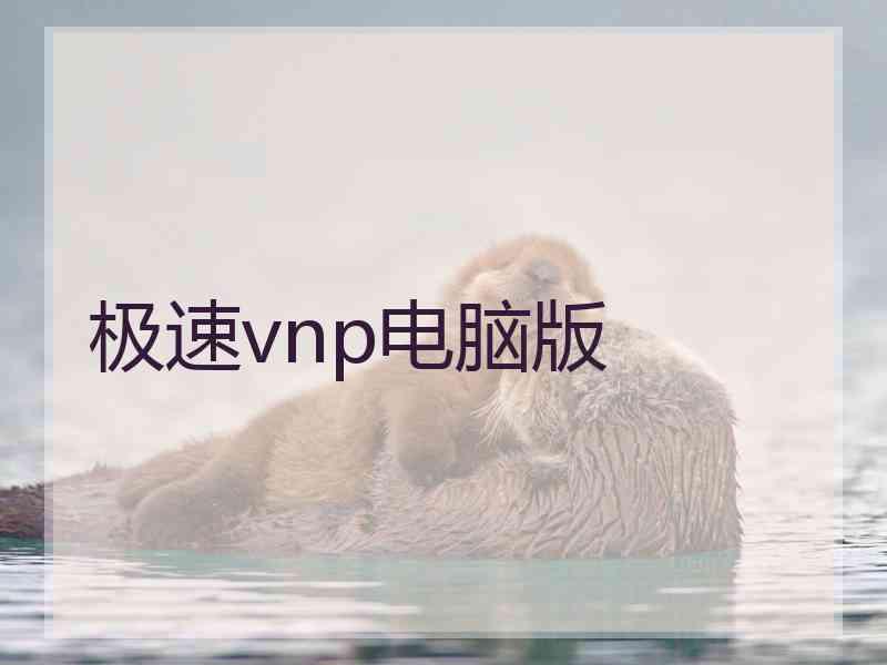 极速vnp电脑版