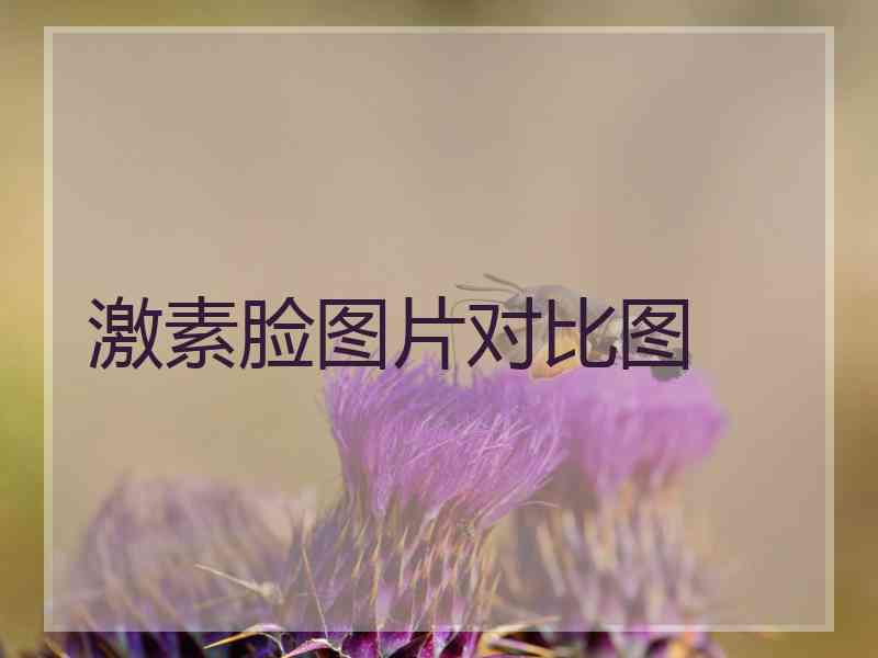 激素脸图片对比图